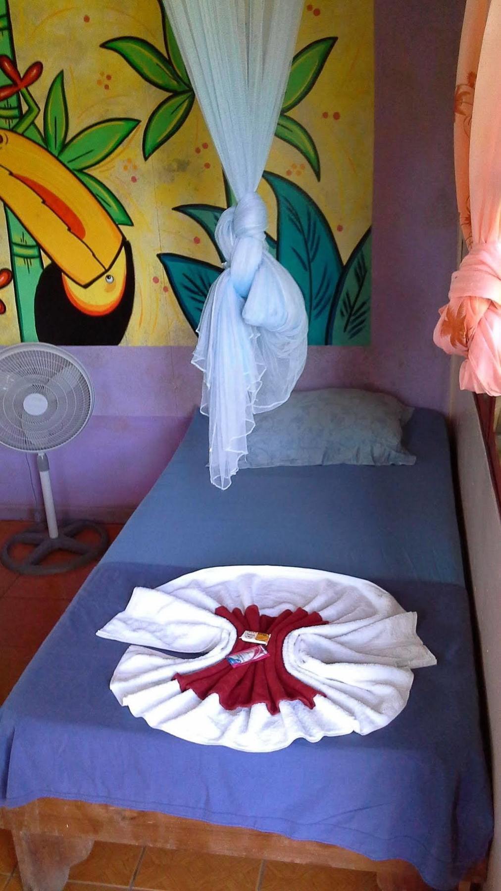 Cabinas Miss Miriam 1 托尔图格罗 外观 照片